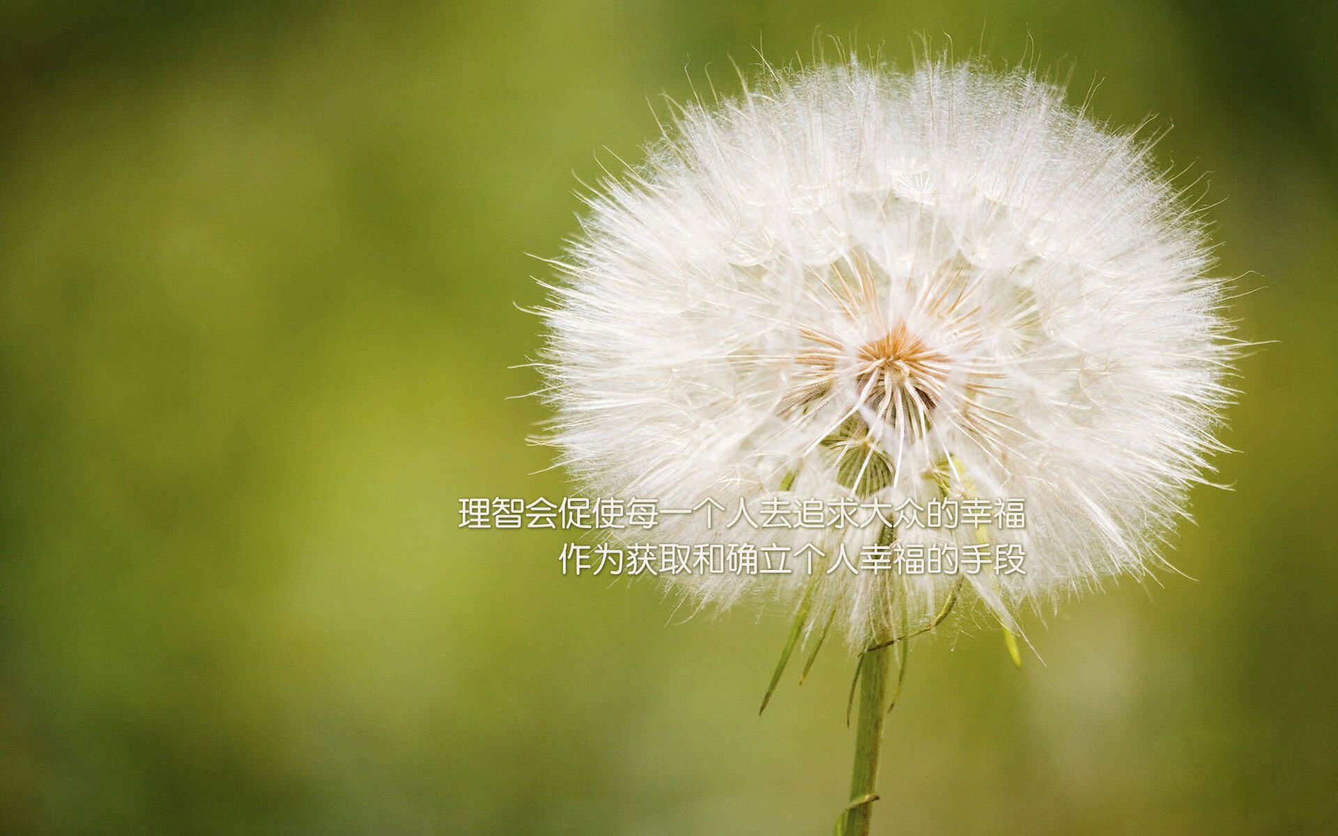 开云官网-“战术深度：不同教练的战术大比拼”，教练在布置战术时讲到了常用的比赛阵型