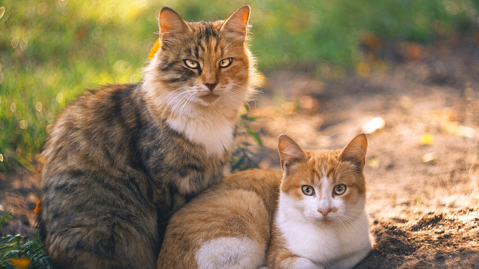 Kaiyun(中国)开云-“绝境”，逆转，奇迹：那些改变历史的赛场瞬间，绝境逆转事例
