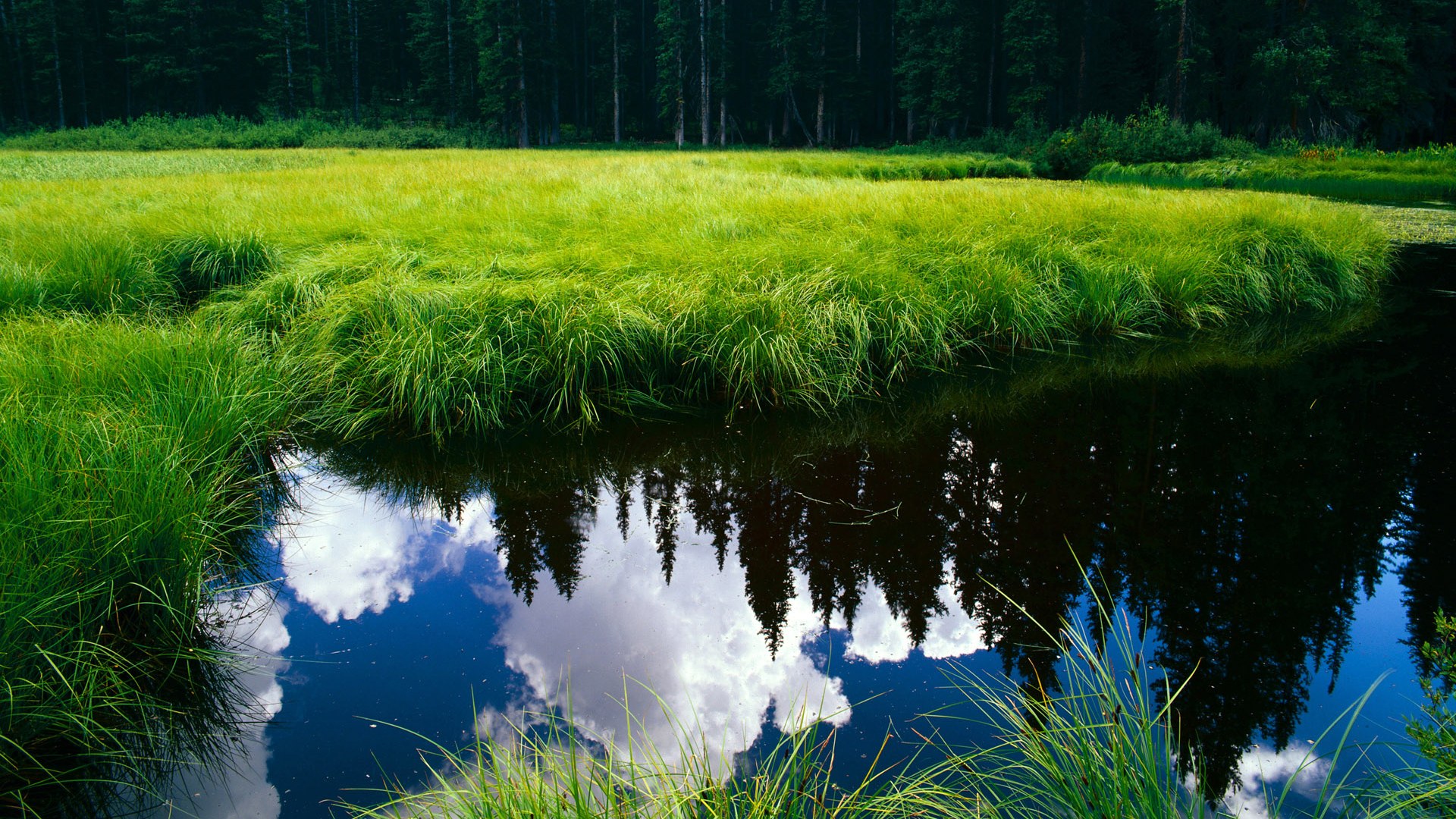 开云入口-【传奇再现】奥沙利文：那些年他如何保持巅峰？，奥沙利文视频经典视频