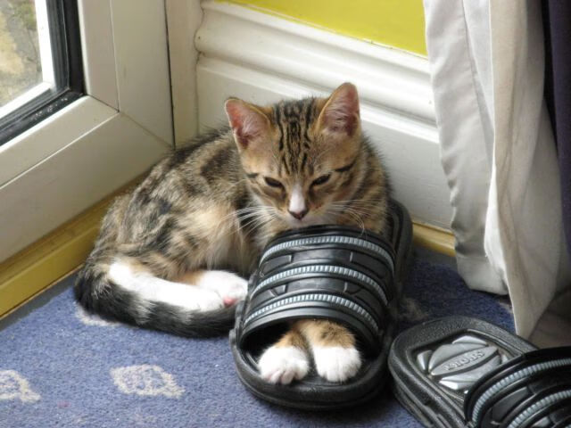 【战术解析】马克·塞尔比的防守布局,如何利用细节取胜?,马克塞尔比历史地位