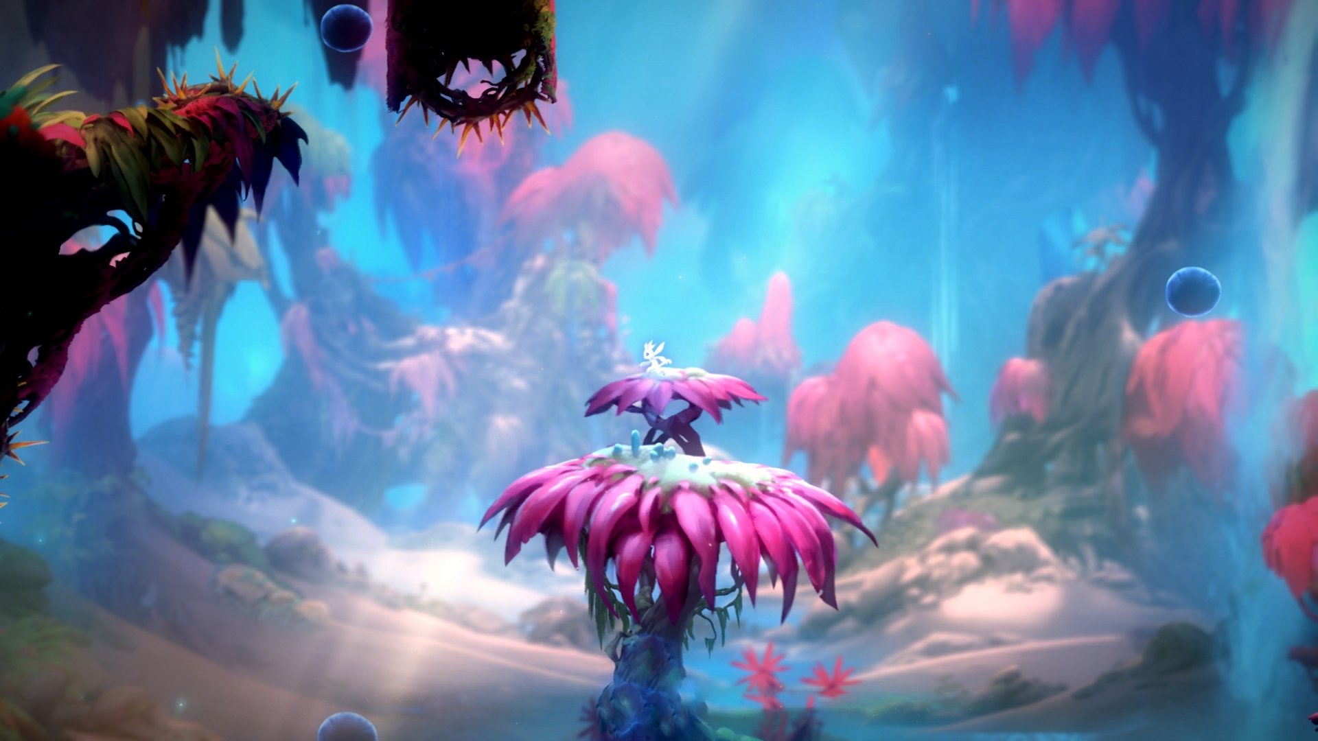 央视体育频道首次现场直播中国青少年篮球联赛,央视体育青少节目中心