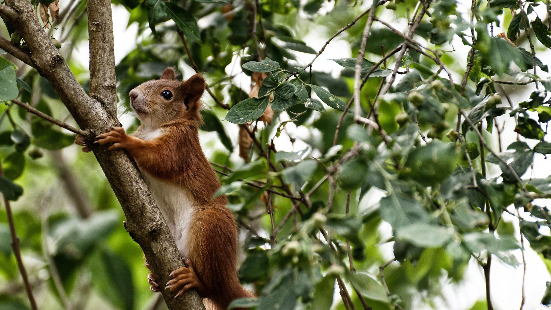 开云体育-巴萨控球+流动战术：控制全场，赢得比赛主动权，巴萨传控