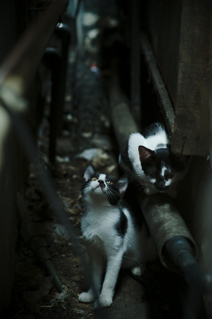 巴萨控球+流动战术：控制全场，赢得比赛主动权，巴萨传控