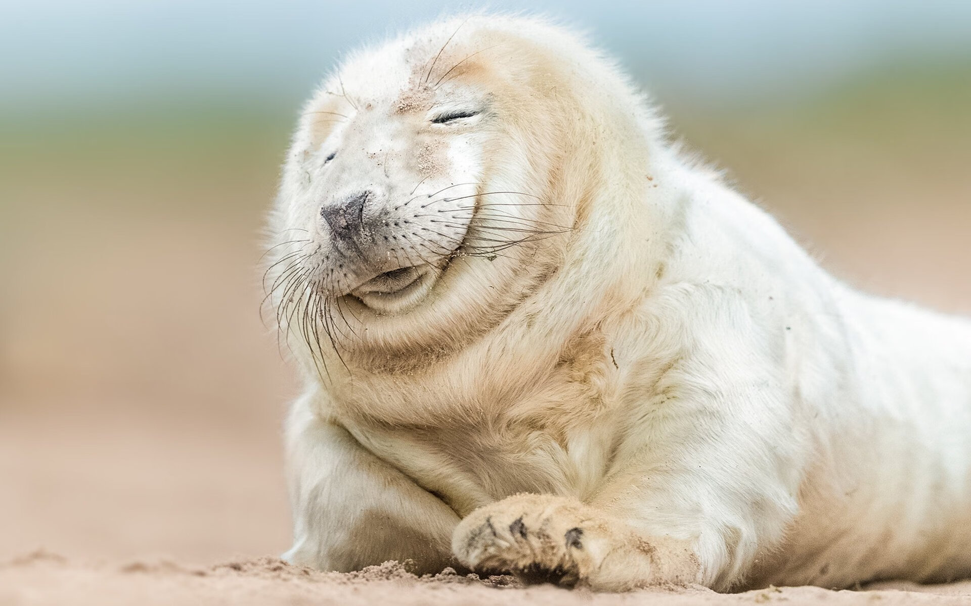 足球界最奇葩的纪录:你知道的医疗奇闻吗?,足球医学奇迹