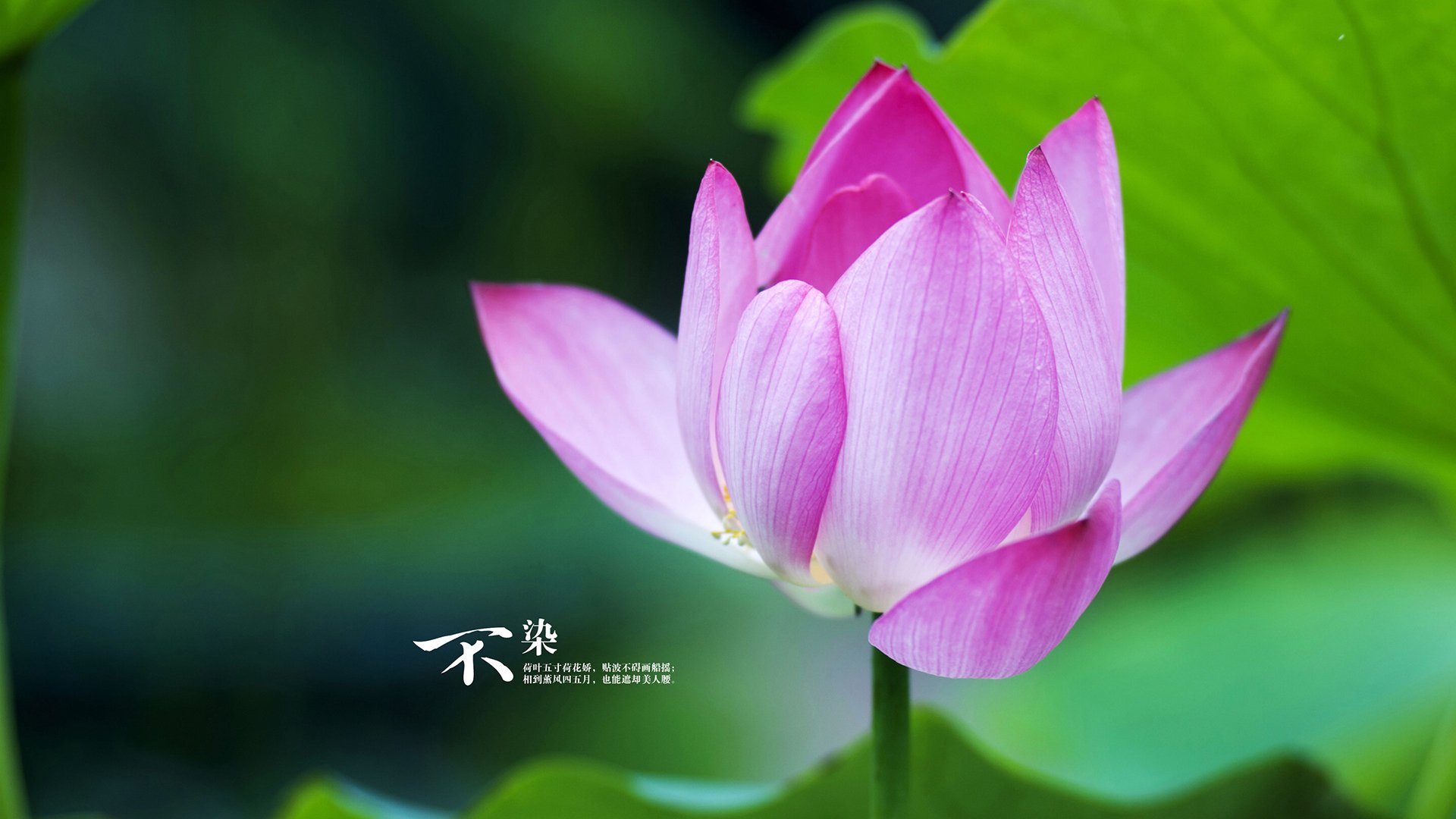 开云官网-逆转“荣耀之夜”：欧冠赛场的传奇篇章，2020荣耀之夜直播