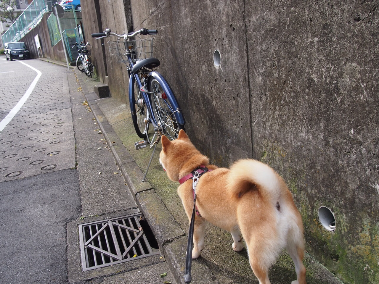 开云·体育官网APP下载-魔术试验“全息战术预演”，投影方式指导站位，全息魔术师