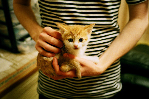 kaiyun登录入口-亚冠赛场烽火连天，胜负难料局面扑朔迷离，亚冠的比赛