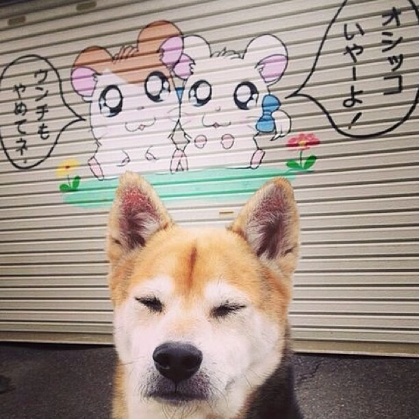 开云网站-切尔西女足防守体系稳固，切尔西女足防守体系稳固吗