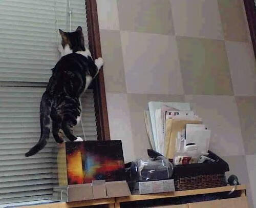 摩尔多瓦队不敌瑞士:无法晋级四强事倍功半,摩尔多瓦国家队大名单