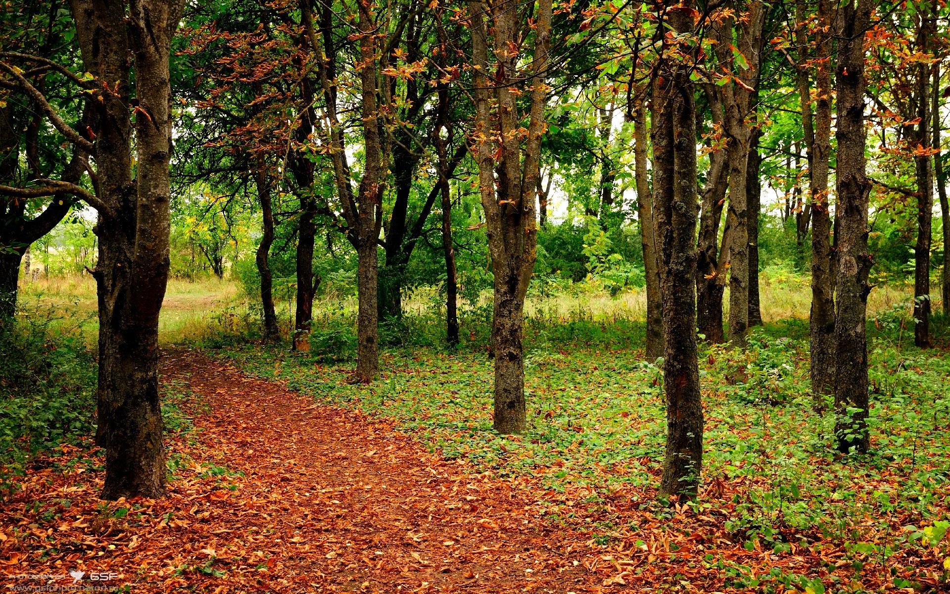 开云·体育官网-摩洛哥队引进欧洲联赛归国球员，摩洛哥国家队