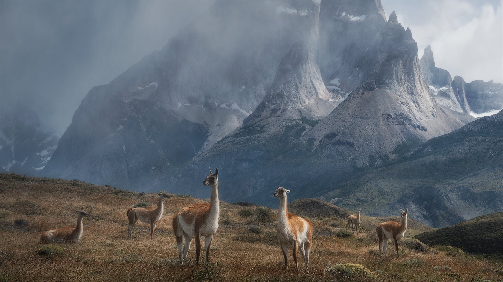 沙特球队实力浑厚,引发对手担忧,沙特队球员