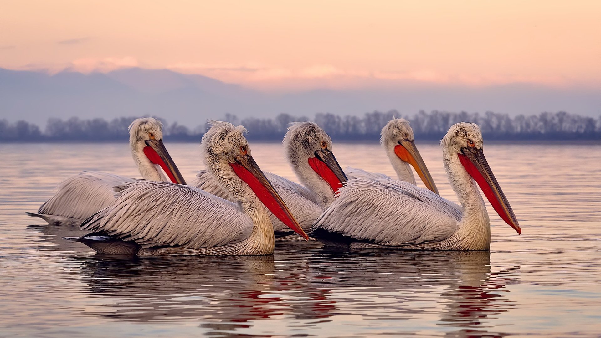 开云网页版-篮网队投资北美顶尖电竞俱乐部，篮网篮球俱乐部