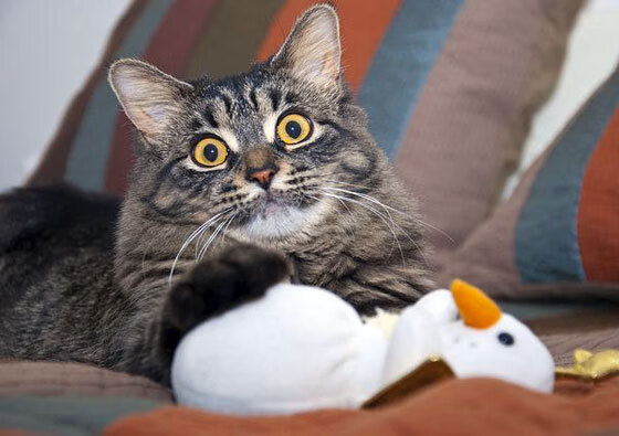 精彩比赛现场掌声不断,气氛热烈,精彩比赛现场掌声不断,气氛热烈昂扬