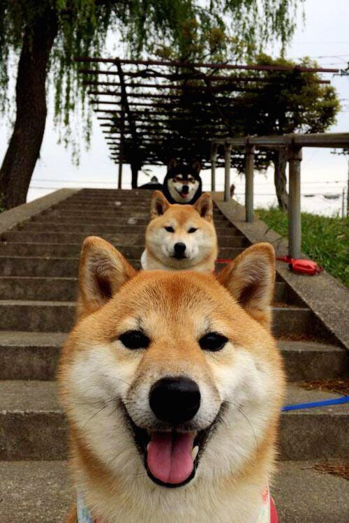 kaiyun官方网站-西班牙男足在欧洲杯小组赛中三战全胜晋级，西班牙 男足