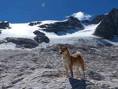 里尔再胜里昂，近期表现持续火爆，里尔vs昂热预测