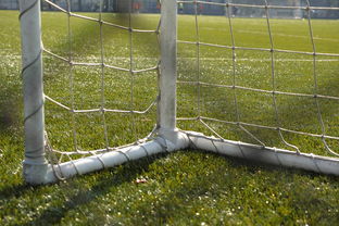 Kaiyun(中国)开云-中国足球门将扑救区域热图，中国足球门将最差吗