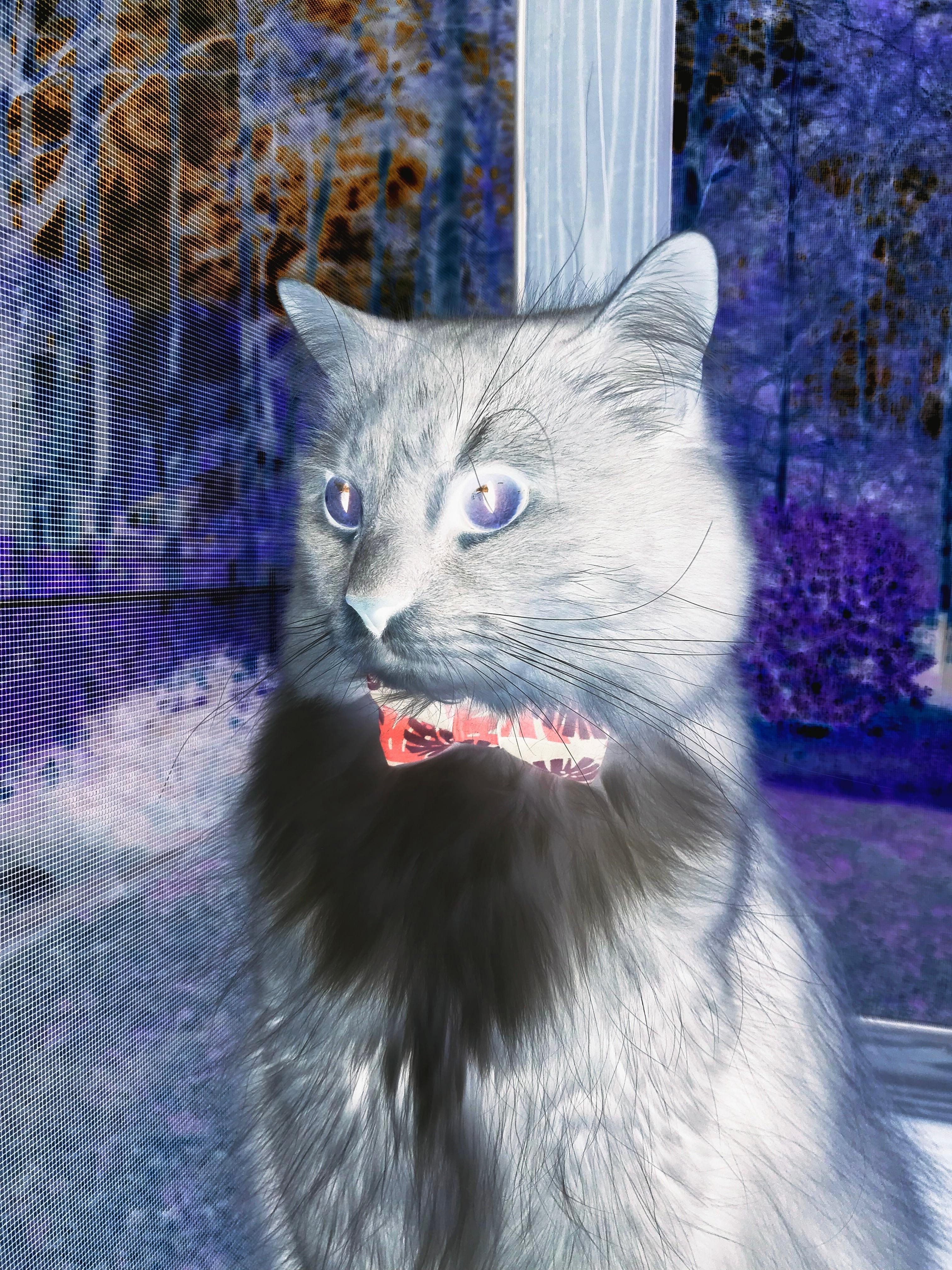 德甲球队构建动态战术模拟系统提升临场应变