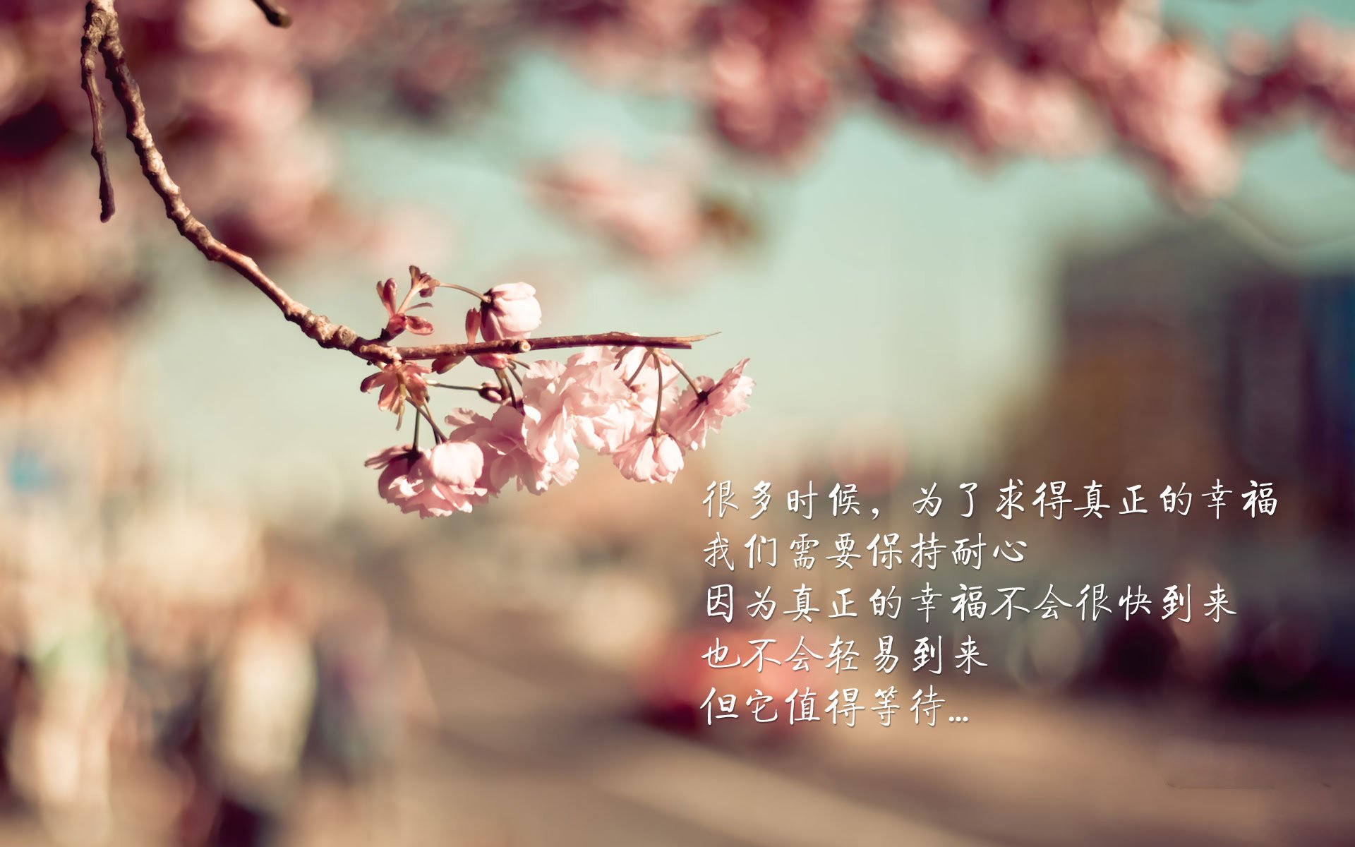 高校体育课程教学内容优化与更新研究,高校体育课程教学内容优化与更新研究论文