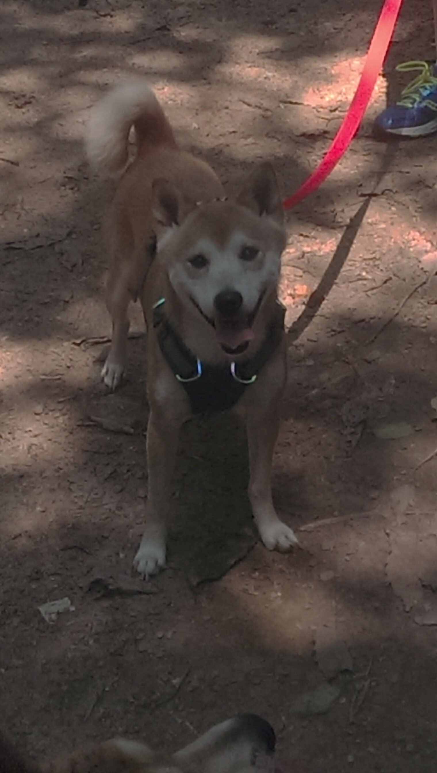 体育新闻中心构建体育赛事数字内容管理体系，体育赛事新闻报道