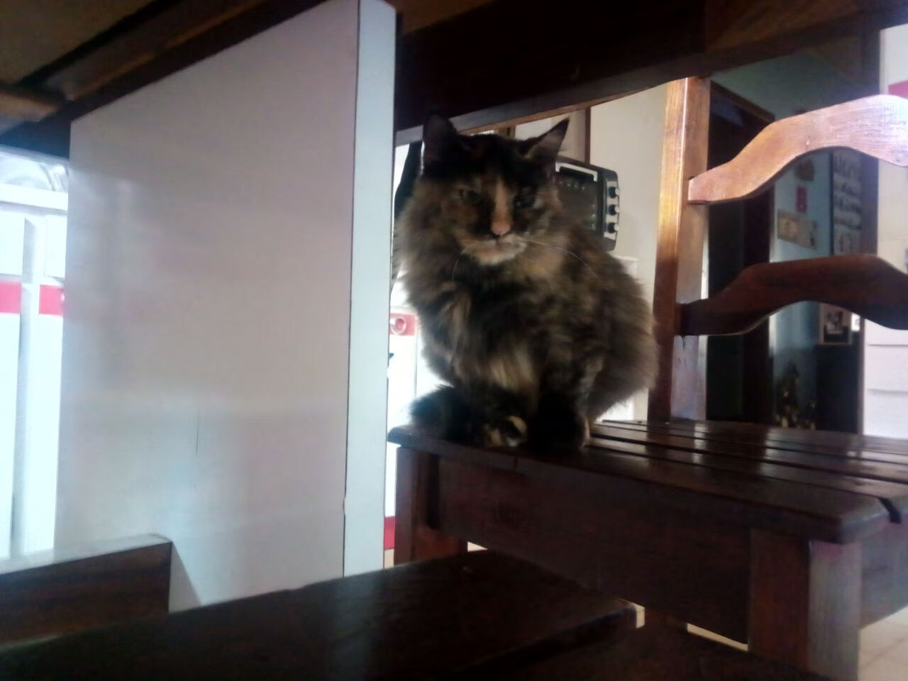 奥预赛中国青年队战平 球员心态需调整,中国国家青奥队