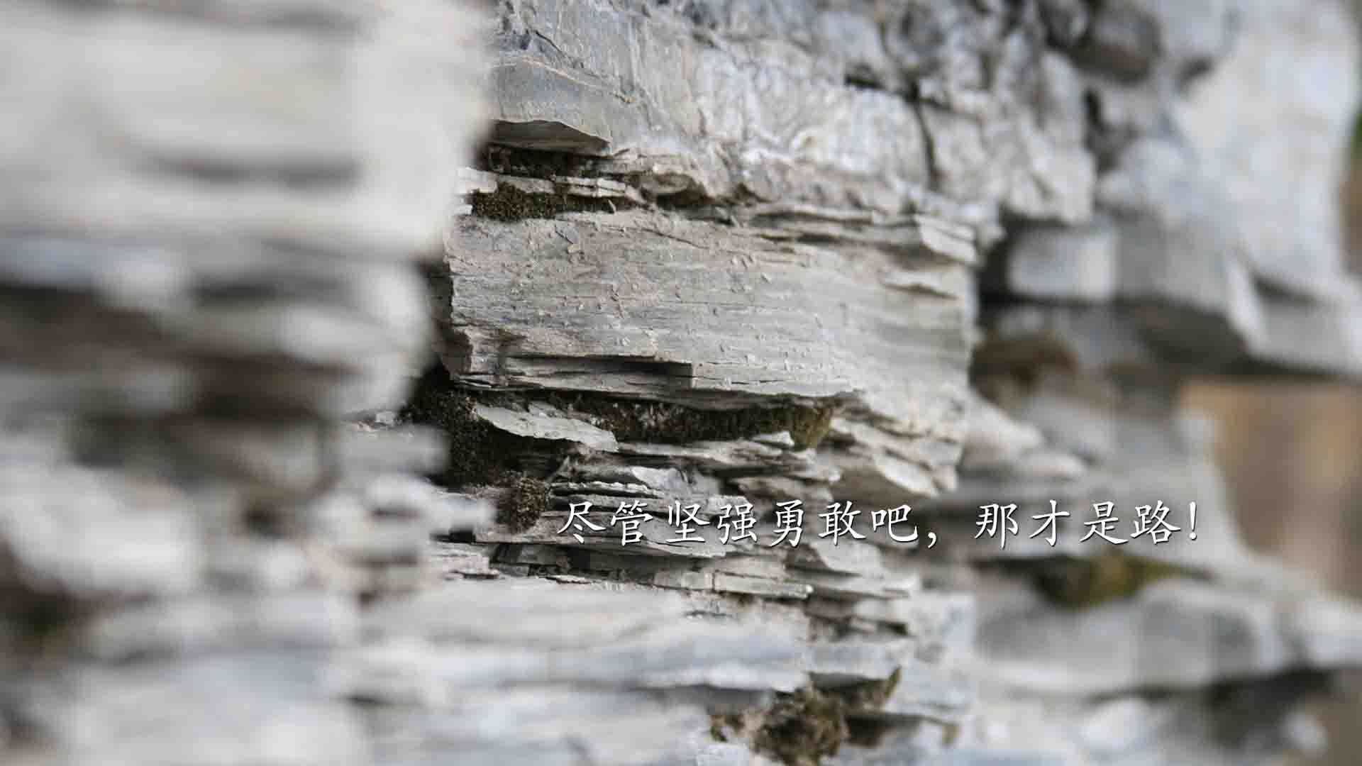 开云平台-辽宁飞豹强化轮换体系保持高效输出，辽宁飞豹队服