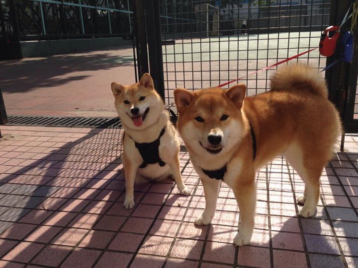 CBA球员访谈节目上线呈现训练背后真实生活状态,cba赛后采访