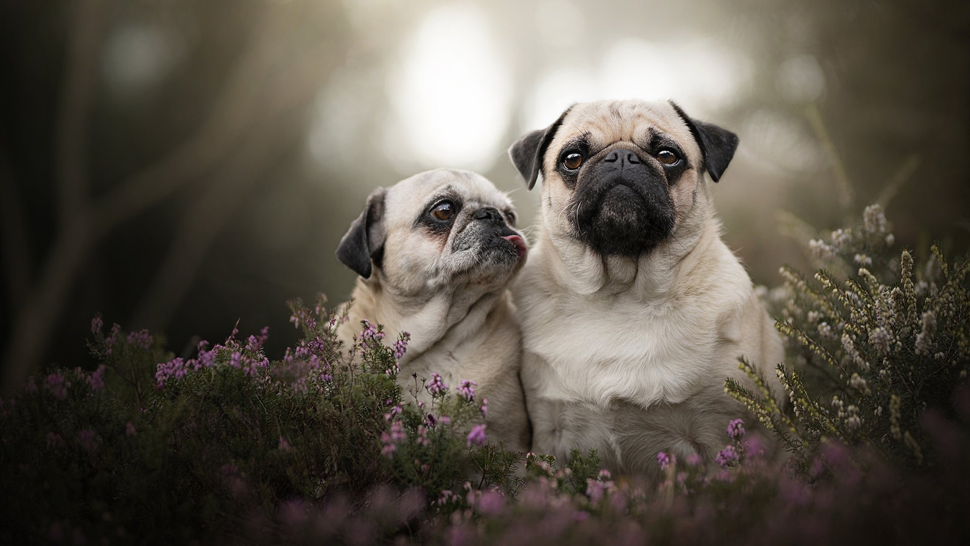 中国足球青训系统加强与国际机构对接，国足青训体系