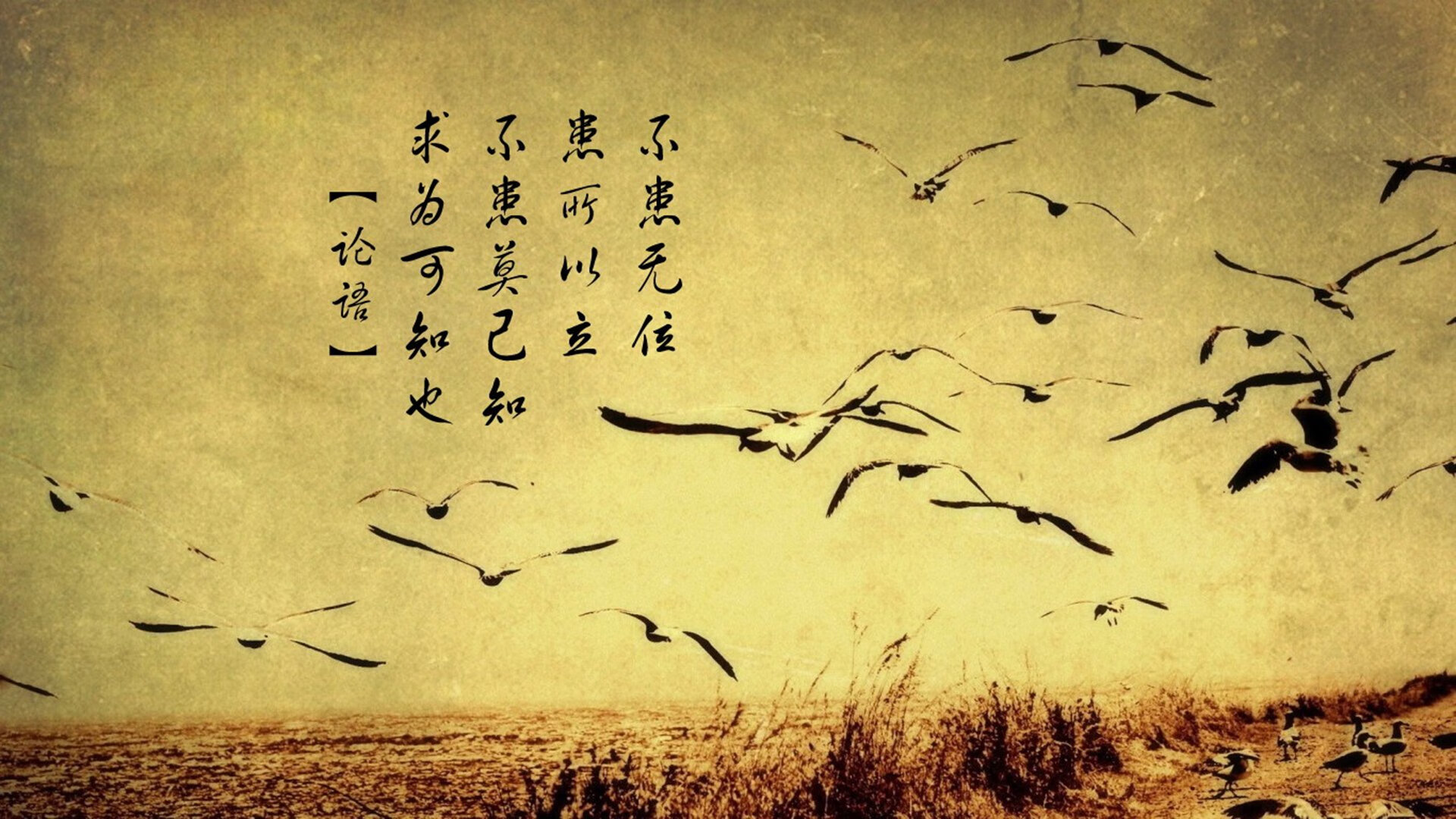 国际篮球交流活动在沪举办助力中国球员对话世界，国际篮球协会