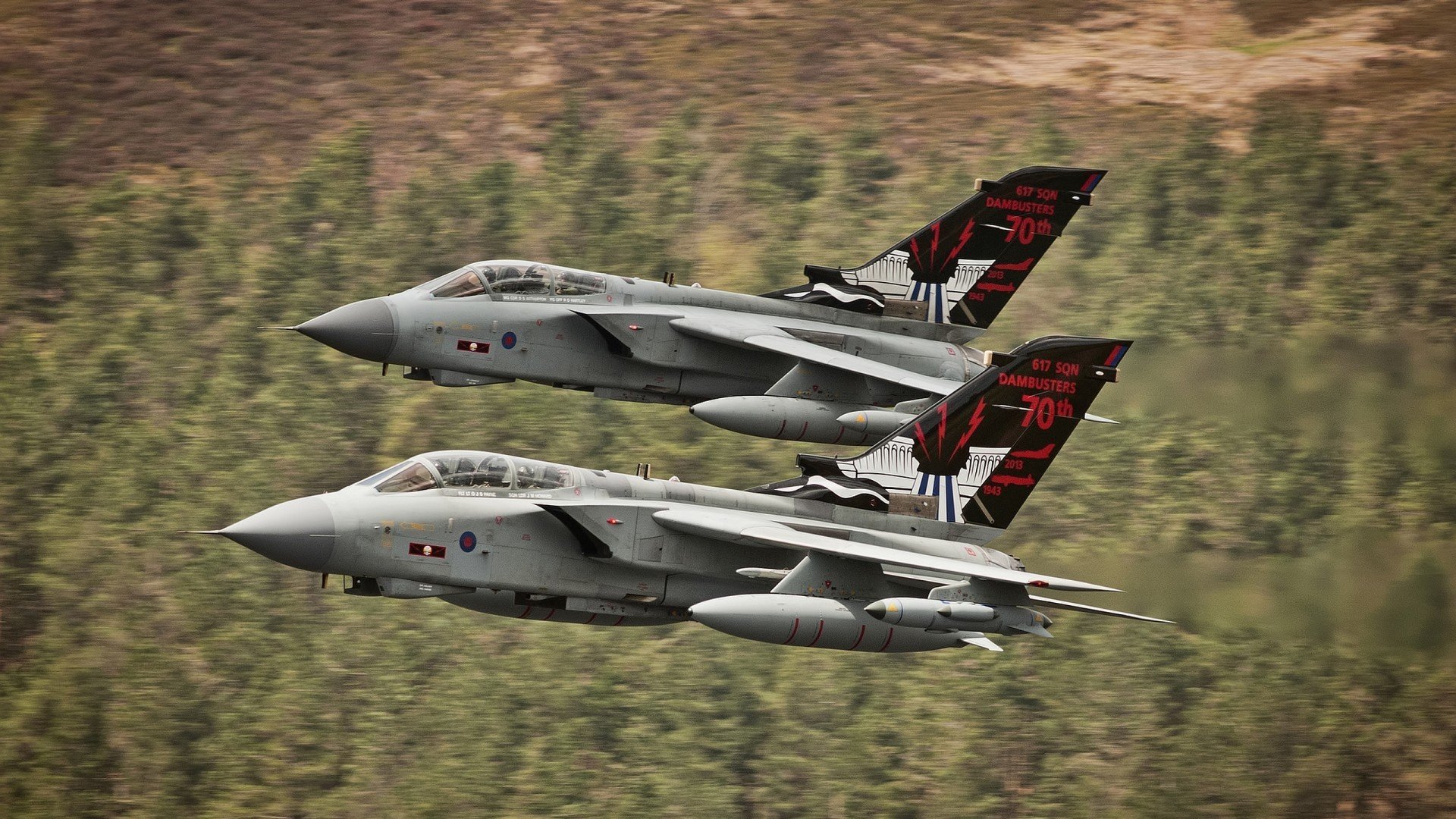 平台发布球迷热力榜单地区支持度差异引发热议,球星热区