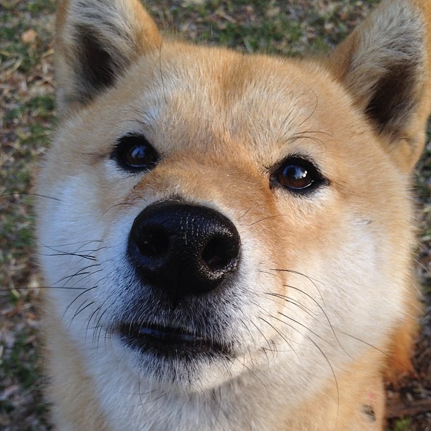 开云体育-皮特·斯图斯的全能防守，成为南非队稳固基石，斯图尔特皮尔斯