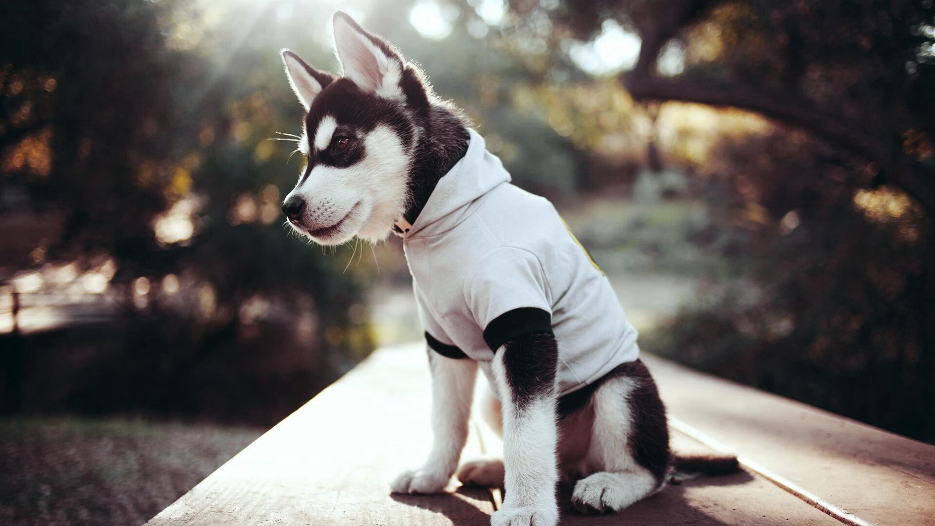 开云官方网站-网球教练实训基地落成并对外开放，网球培训基地