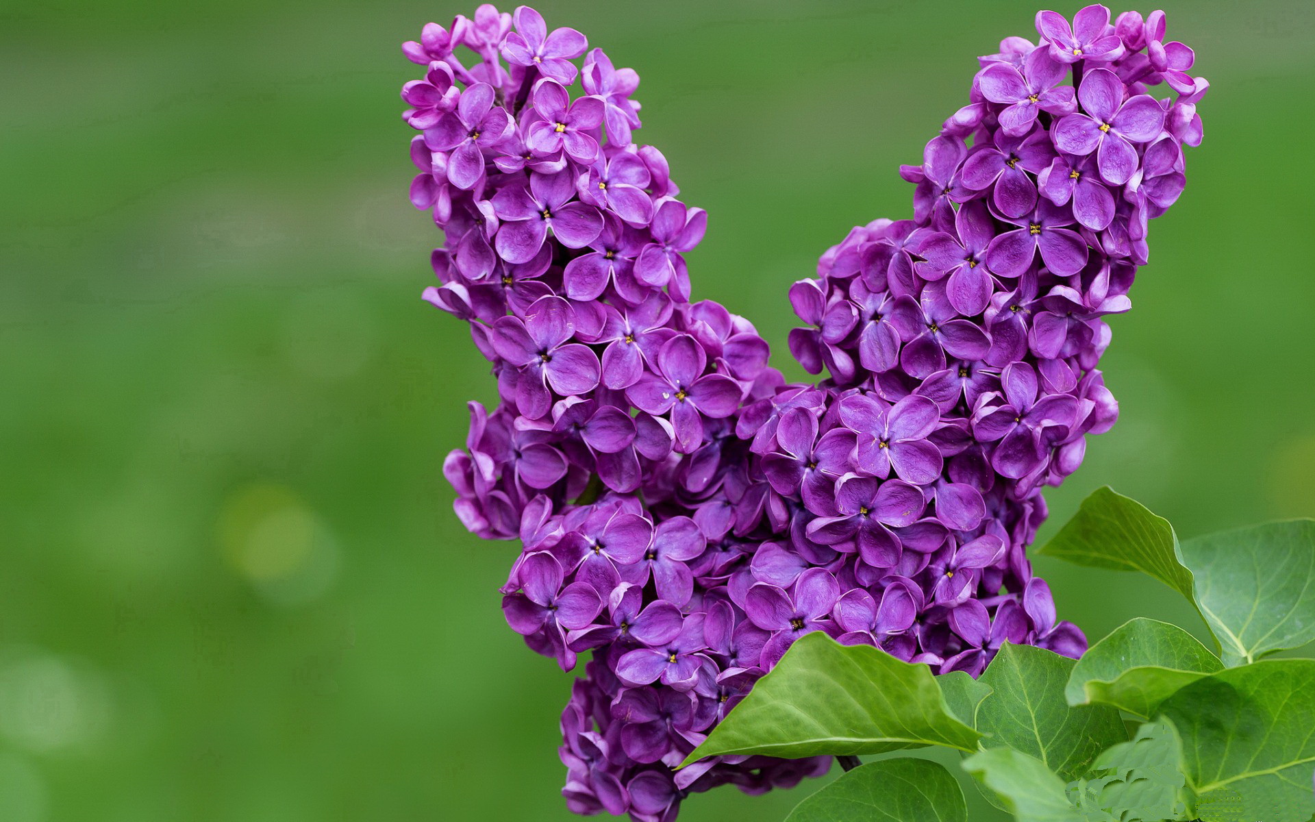 网球教练实训基地落成并对外开放,网球培训基地