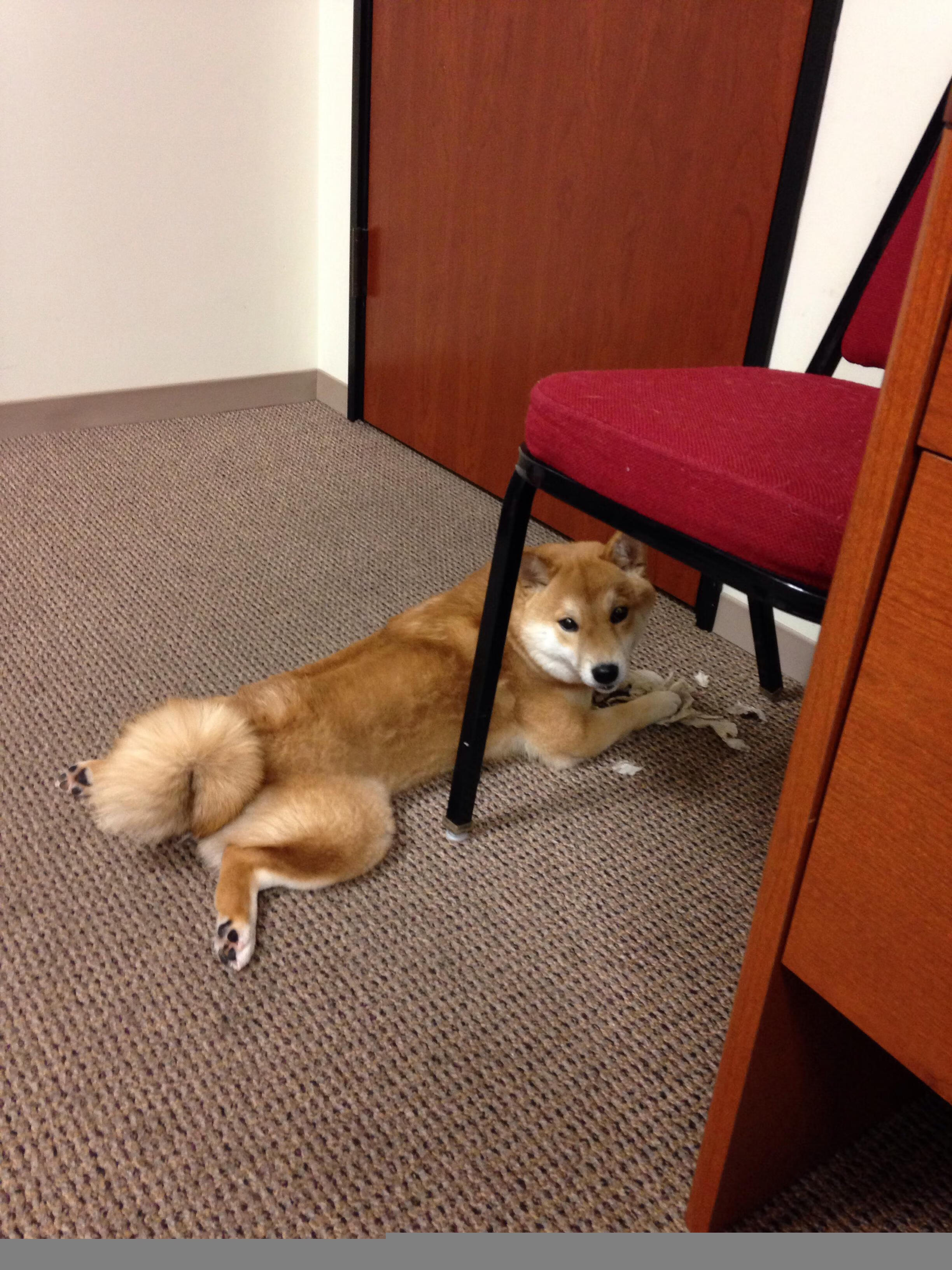 青训基地推广体能与技能同步训练提升综合素质,青少年体育培训推广方案