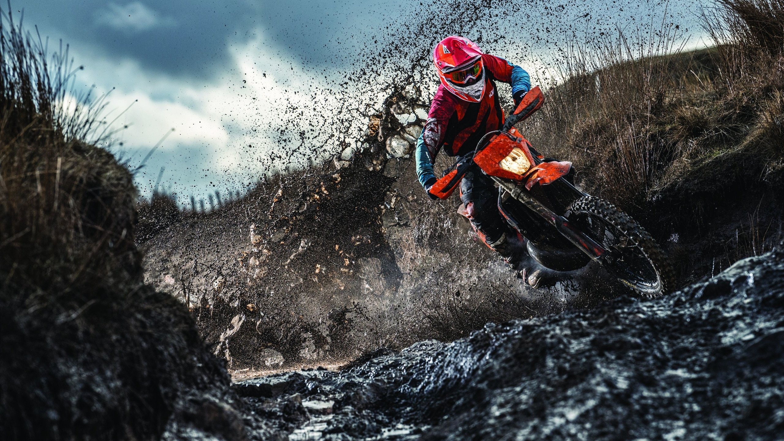 “生死搏杀，四川省体育馆自由搏击赛火爆登场”